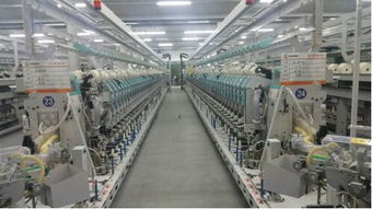 进出口银行新疆分行多措并举积极支持纺织服装产业实体经济发展