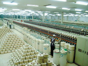 我的图库 昌邑市饮马镇素梅再生纤维加工厂
